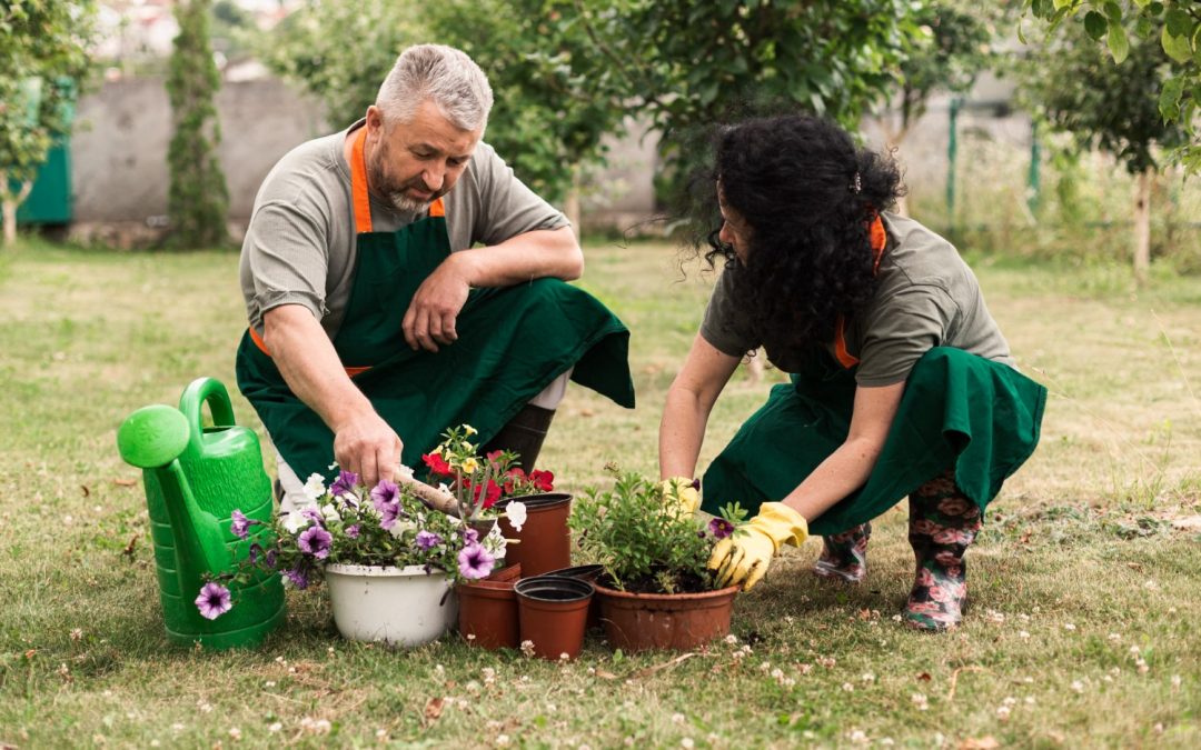 Gardening Tips for Seniors with Limited Mobility